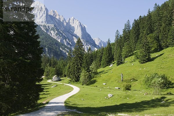 gehen  Weg  Bayern  Berchtesgaden  Deutschland