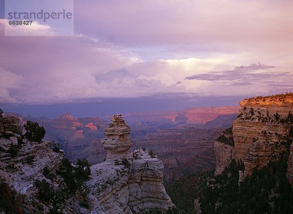 Vereinigte Staaten von Amerika  USA  Arizona  Grand Canyon Nationalpark