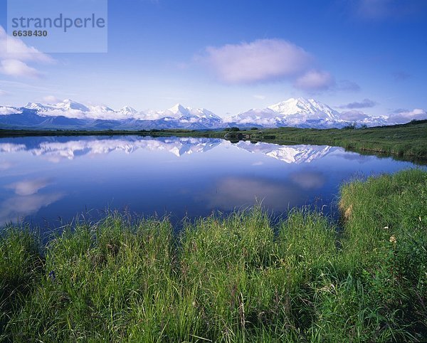 Vereinigte Staaten von Amerika  USA  Denali Nationalpark  Alaska