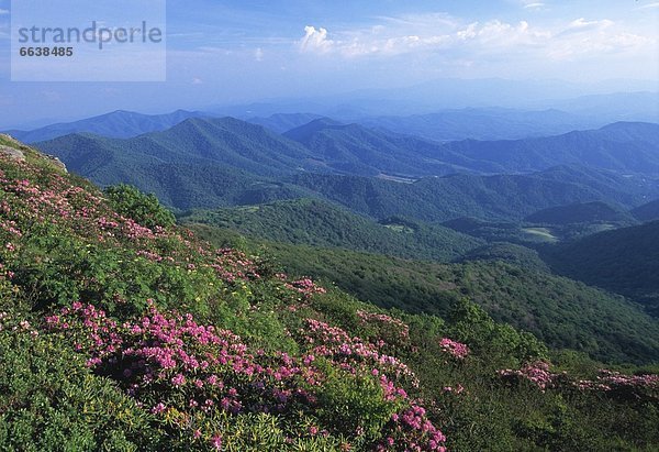 Vereinigte Staaten von Amerika  USA  Tennessee