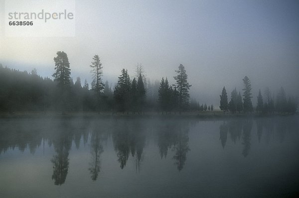 Vereinigte Staaten von Amerika  USA  Morgen  über  hängen  Nebel  Fluss  Yellowstone Nationalpark  Wyoming