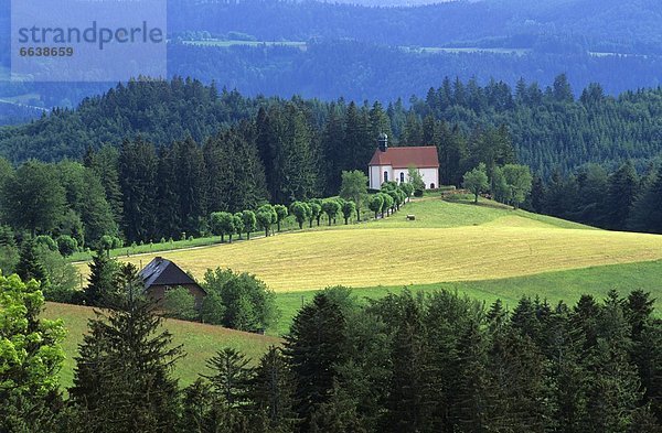 Schwarzwald Deutschland