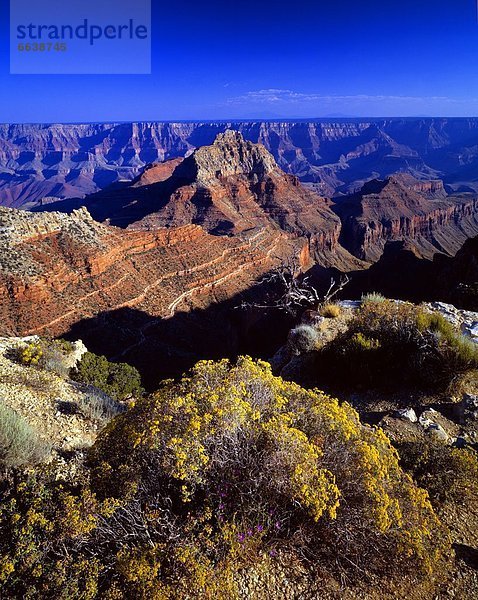 Vereinigte Staaten von Amerika  USA  Arizona  Grand Canyon Nationalpark  Vishnu Tempel