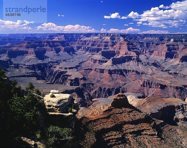 Vereinigte Staaten von Amerika  USA  Arizona  Grand Canyon Nationalpark