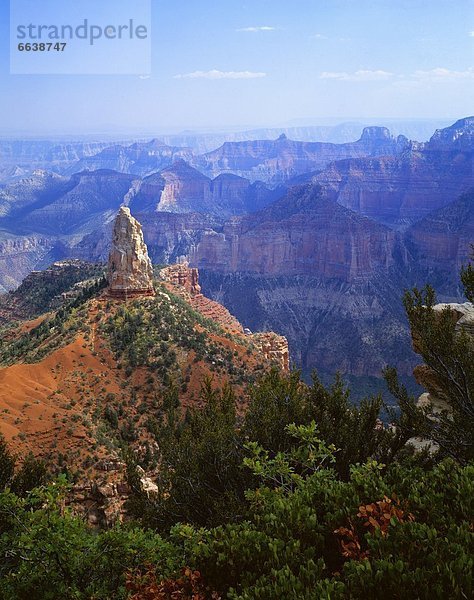 Vereinigte Staaten von Amerika  USA  Arizona  Grand Canyon Nationalpark