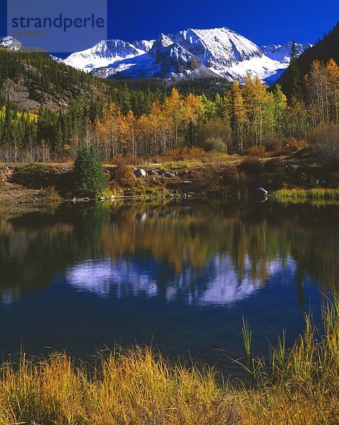 Autumn Scene  Castle Creek Valley