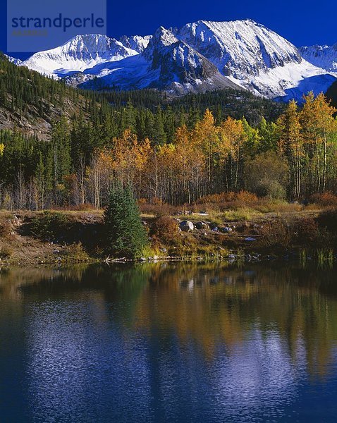 Mountain Reflection In Pond  Castle Creek Valley