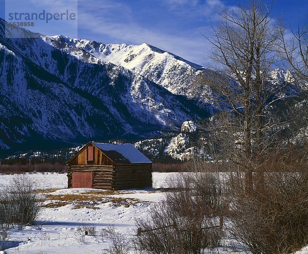 Vereinigte Staaten von Amerika USA Berg Felsen Scheune Colorado alt