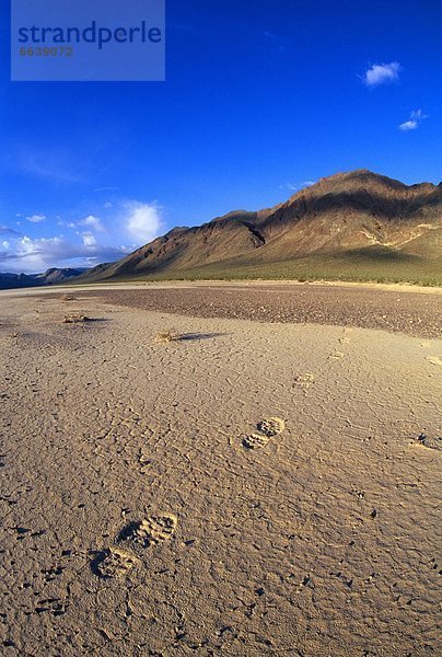 Vereinigte Staaten von Amerika USA Fußabdruck Death Valley Nationalpark Kalifornien