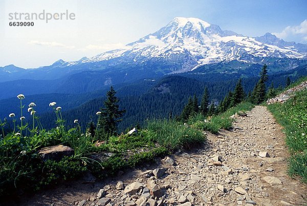 Vereinigte Staaten von Amerika  USA  Mount Rainier Nationalpark