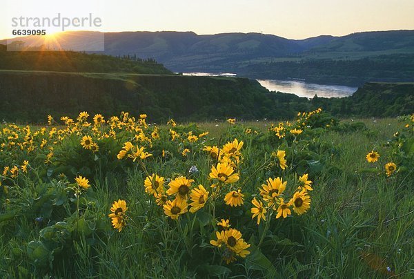 Vereinigte Staaten von Amerika  USA  Oregon