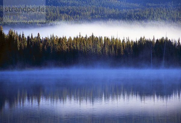 Fog Reflected In Trillium Lake  Mount Hood National Forest