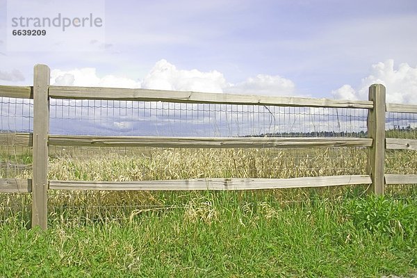 Geländer  Zaun  Wiese  vorwärts