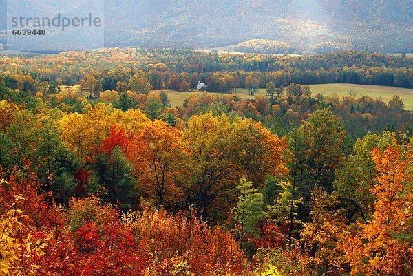 Farbaufnahme  Farbe  Wald  Herbst