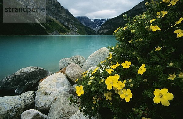 Lake Louise  Banff Nationalpark  Alberta  Banff  Kanada