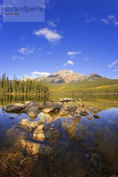 Jasper Nationalpark  Alberta  Kanada
