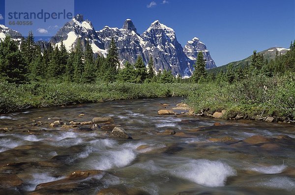 Jasper Nationalpark  Alberta  Kanada