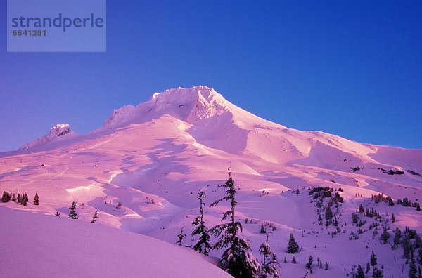 Vereinigte Staaten von Amerika  USA  Kapuze  Oregon