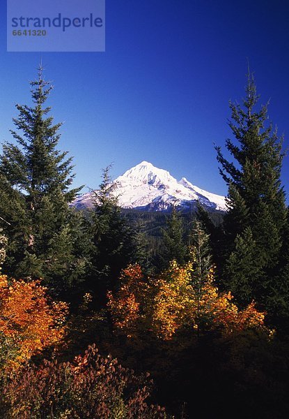 Herbst  Berg  Kapuze