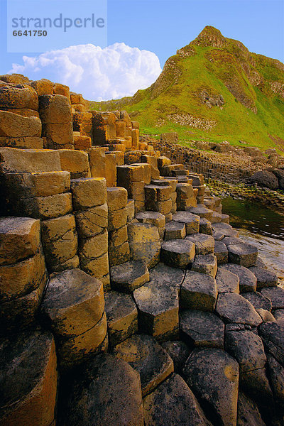 County Antrim  Giant's Causeway  Irland