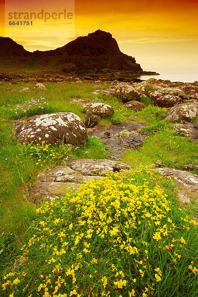 County Antrim  Irland