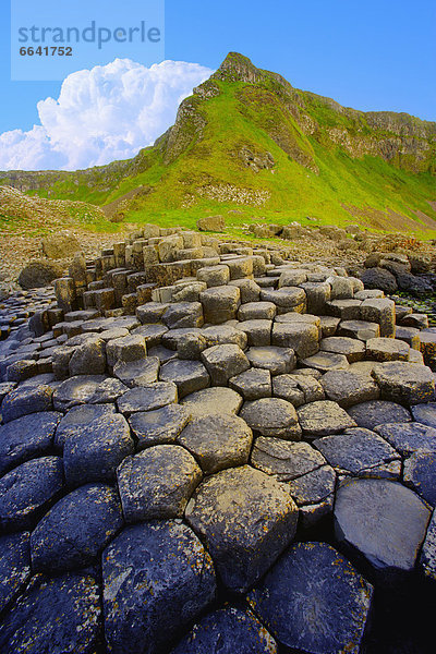 County Antrim  Giant's Causeway  Irland
