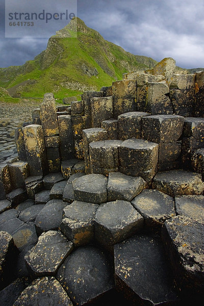 County Antrim  Giant's Causeway  Irland