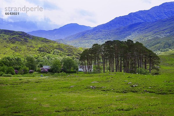 Irish Landscape