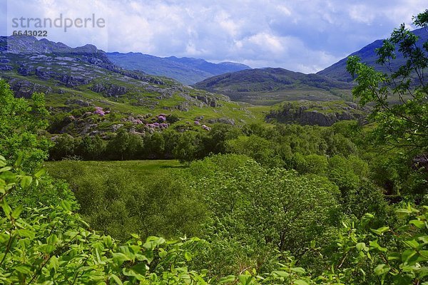 Irish Landscape