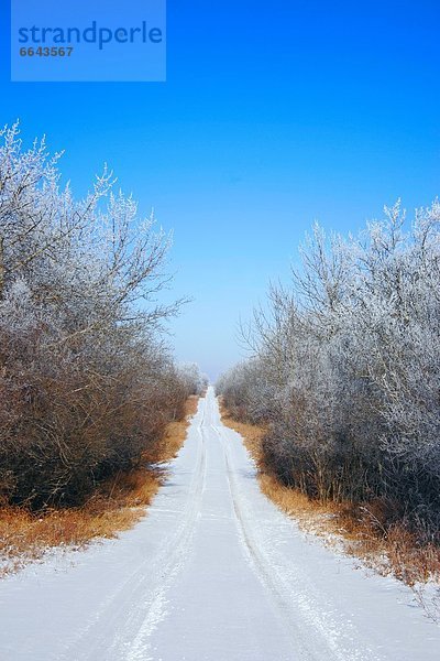 Landstraße  Winter