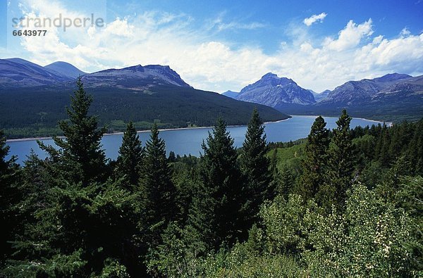 Vereinigte Staaten von Amerika  USA  Glacier Nationalpark