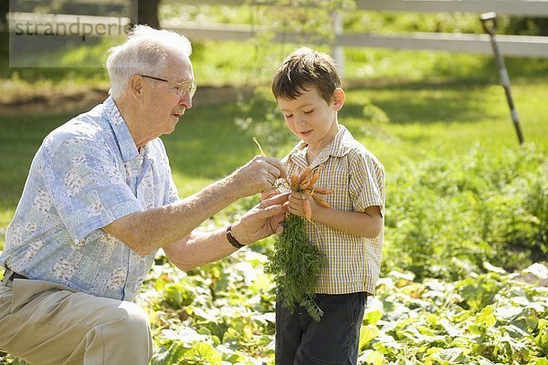Führung  Anleitung führen  führt  führend  Enkelsohn  Großvater  Garten