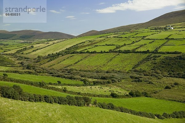 Ländliches Motiv  ländliche Motive  Irland