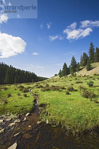 Wilderness Landscape