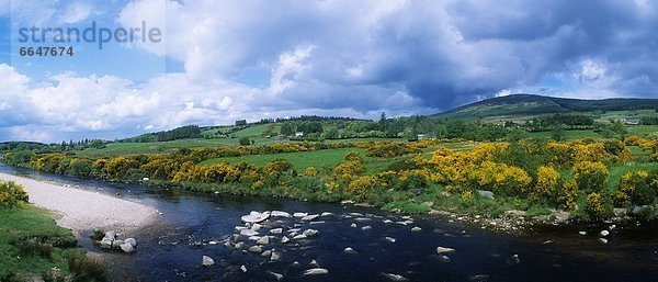 Liffey County Wicklow Irland