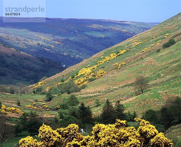 County Antrim  Irland