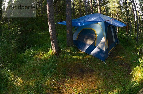 Tent Camping