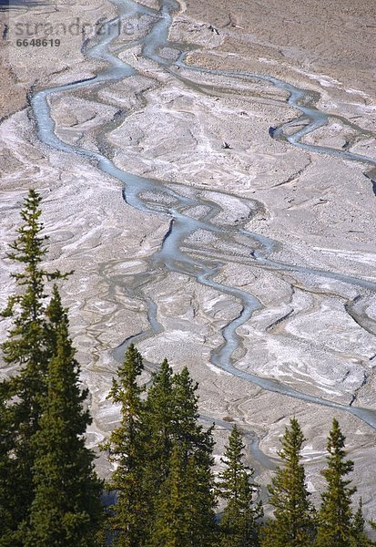 Banff Nationalpark  Alberta  Kanada