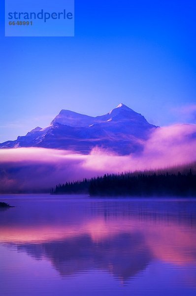 Jasper Nationalpark  Alberta  Kanada