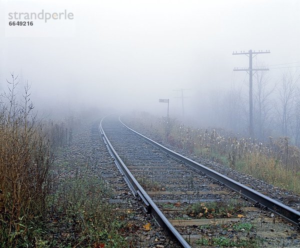 Nebel  Zug