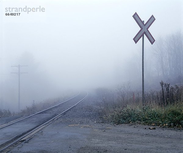 überqueren  Nebel  Zug