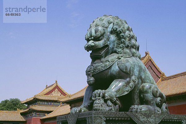 Löwe  Panthera leo  Großstadt  Statue  verboten  Peking  Hauptstadt  China  Bronze