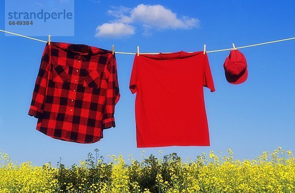 Kleidung über hängen Feld rot Wäscheleine Canola