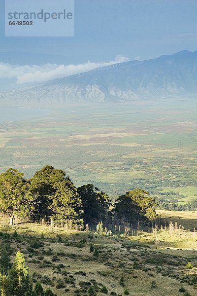 Vereinigte Staaten von Amerika  USA  Landschaftlich schön  landschaftlich reizvoll  Berg  Ansicht  Hawaii