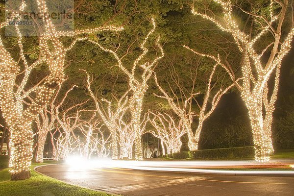 Vereinigte Staaten von Amerika  USA  Nacht  Baum  Beleuchtung  Licht  Weihnachten  Hawaii  Maui  Wailea