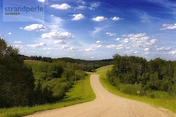 Biegung  Biegungen  Kurve  Kurven  gewölbt  Bogen  gebogen  Wolke  Baum  Himmel  Fernverkehrsstraße