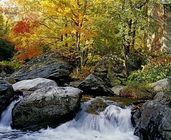 Fluss Herbst