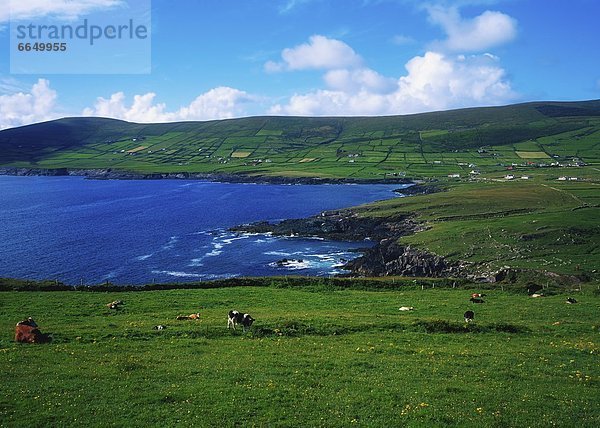 Kerry County  Irland  Ring of Kerry