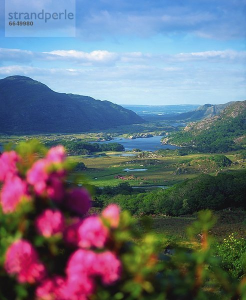 Irland  Killarney