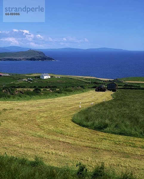 Beara-Halbinsel  Irland